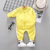 New Autumn Children's Clothing Set Baby Long Sleeve Zipper Jacket Coat Long Pants Two-Piece Set