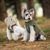 Four Legged Waterproof Raincoat Dog With Hood Rain Split Type Full Pack Raincoat Waterproof Jacket Small And Medium-sized Dog