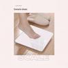 Digital Tempered Glass Bathroom Scale (CN Version)