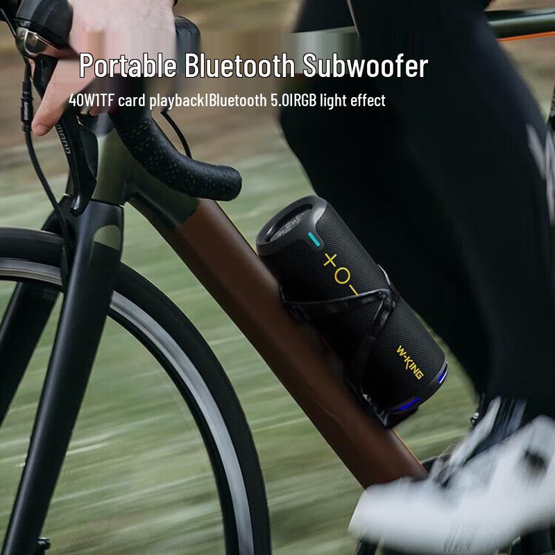 W-King D320 Portable Outdoor Bluetooth Speaker CN plug (adapter included)