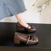Retro Thick Heel Evening Shoes Single Shoes Women's Shoes New Spring and Autumn Black Mary Jane Small Leather Shoes