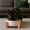 Large Caliber Ceramic Cat Bowl Anti-Overturn Cervical Spine Cat Water Food Bowl No Spill with Wooden Rack High Footed Dog Bowl