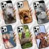 Weimaraner Dog Phone Case For iPhone 17 Air 16 15 14 Plus 12 13 Pro Max Soft Bumper Shell Cover Coque