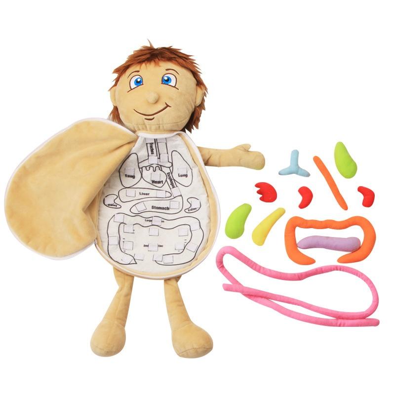 Children Cognitive Human Organ Body Structure Puzzle Plush Early Toys Education