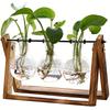 Air Planter Bulb Glass Vase Plant Terrarium With Wooden Stand Retro Tabletop For Hydroponics Home Garden Office Decoration