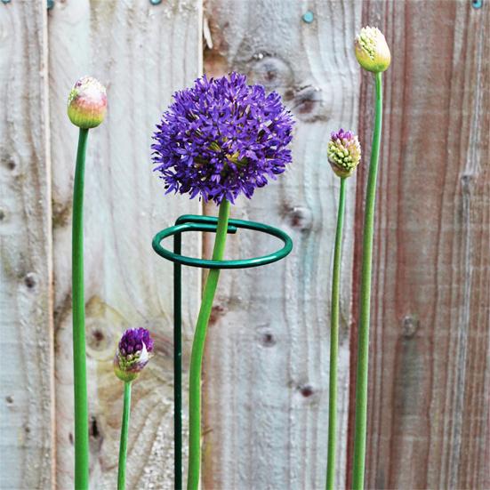 12 Pcs Tomato Twist Stakes Spiral Plant Support Stakes Climbing Plant Stakes for Tomato Butterfly Orchid Flowers Home Gardening