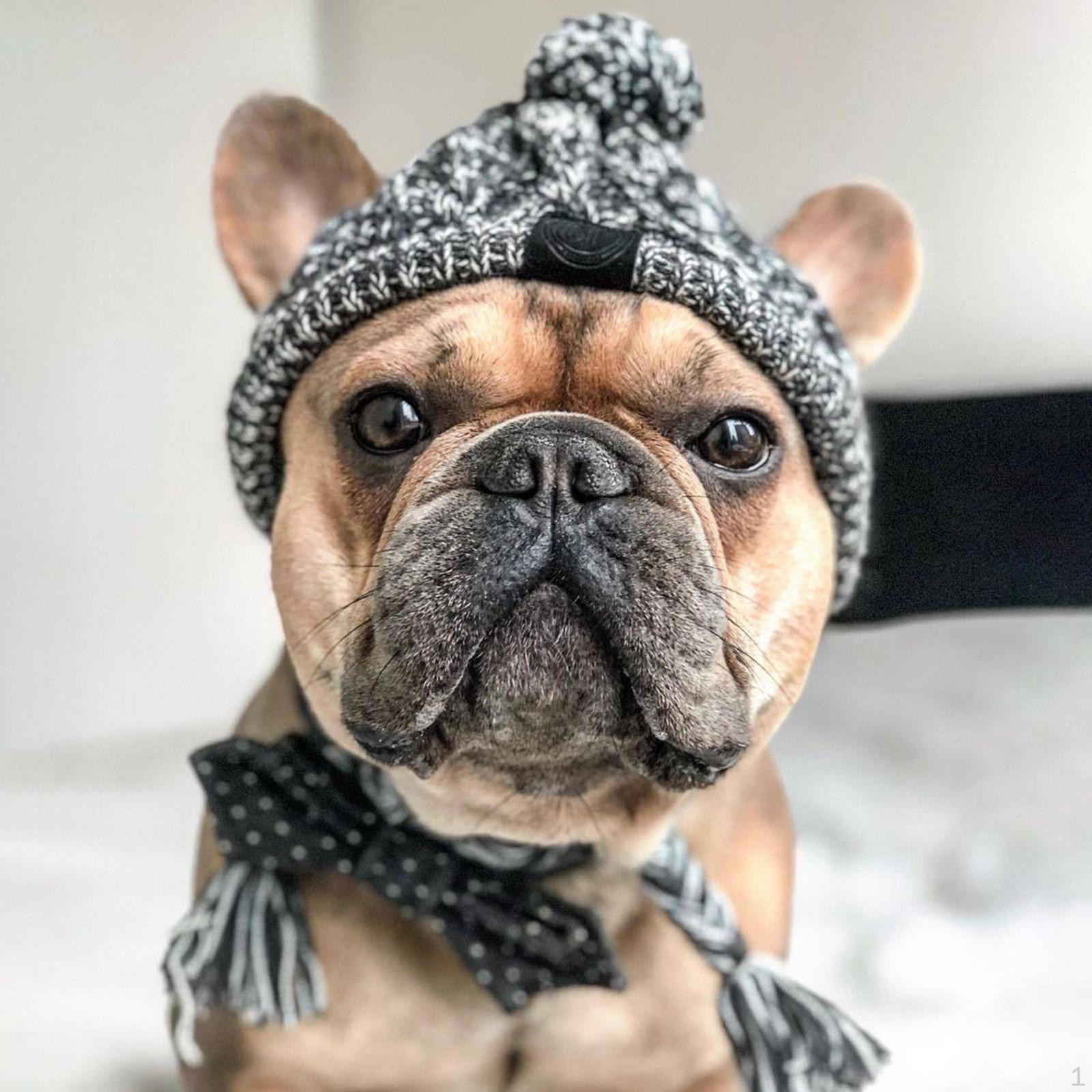 

Уютная вязаная шапка для домашних животных — стильный головной убор для собак и кошек S