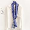 Spring and Autumn New Korean Decorative Slim Long Silk Scarf for Women, Small Neck Scarf, Ribbon Binding, Bag Strap, Headband, Winter Warm Scarf