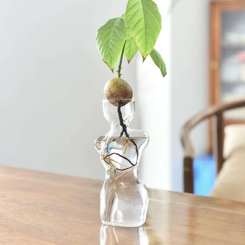 Female Body Clear Glass Avocado  Sprouting Planter Modern Hydroponic Vases For Indoor Plant Display Desktop Decors