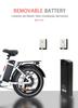 SAMEBIKE DZ2030 800W Bicicleta Elétrica de Entrega, Bateria de Lítio Removível 48V 16Ah, E-Bike com Pneu Gordo 20" x 4.0 para Adultos