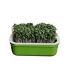 1Pcs Double Layer Germination Tray Plastic High Ventilation Hydroponic Planting Tray Cultivation Pot Grid Design Sprout Tray