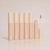 Etude Big Cover Skin Fit Concealer