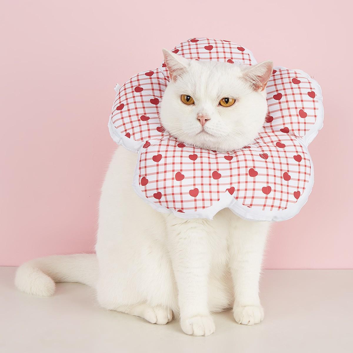 Ошейник для домашних животных в стиле Элизабет с изображением фруктов и цветов - антилизательный аксессуар для кошек и собак Red Cherry