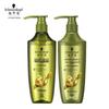 Ginger Essence Oil Control Shampoo & Conditioner Set
