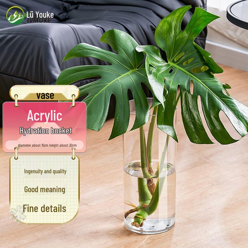 Roomco Anti-Fall Transparent Acrylic Flower Vase