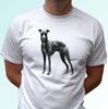 Greyhound Crianças Meninos Camiseta cão galgo camiseta animal top arte presente s s crianças tamanho bebê