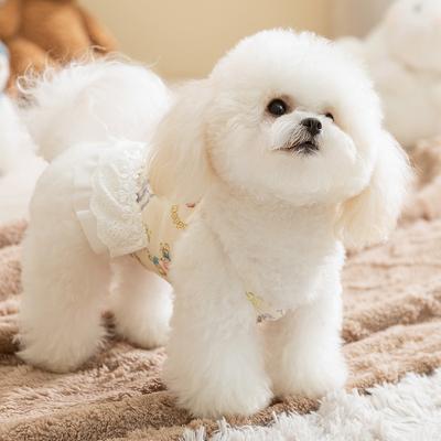 Herbst und Winter warme Samt Hundekleidung Schleife Spitze doppellagiger Bauchschutz Hauskleidung Weste Rock Haustierkleidung