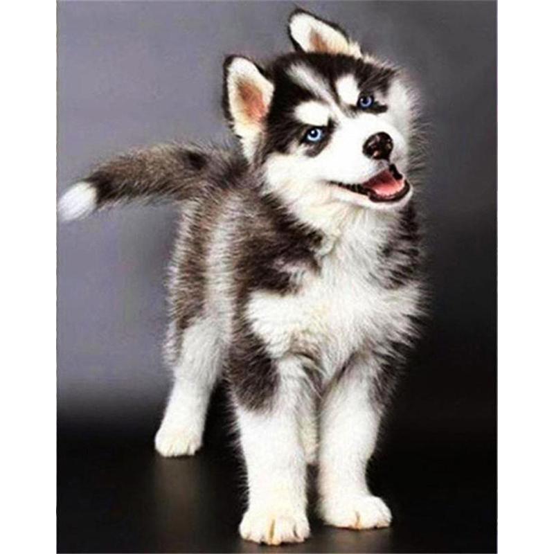 5D DIY Diamond Painting Cute Puppy Diamond Mosaic Diamond Embroidery Full Set Cross Stitch Kits Home Decor Gifts