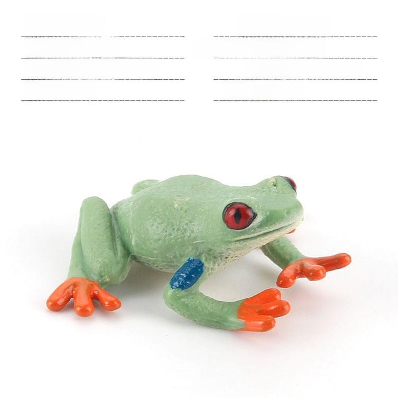 

Тропический дождевой лес Животное Rhacophoridae Модель ПВХ Статическая фигурка Для образования и коллекции Style A