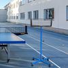 Badminton şi tenis – Tenis de masă