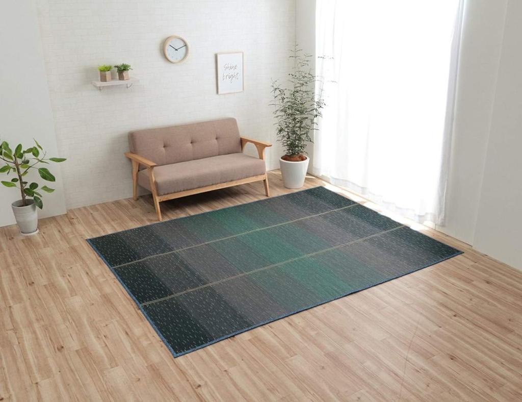 Ikehiko Carpet NCX Clear Rug Kobayashi Pharmaceutical Persistent Antibacterial Agent Antibacterial Antibacterial Odor Resistant Fabric Summer Rush