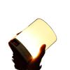 Colorful Night Light Bluetooth Speaker and Alarm Clock