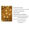 Enpufike LED Star String Lights