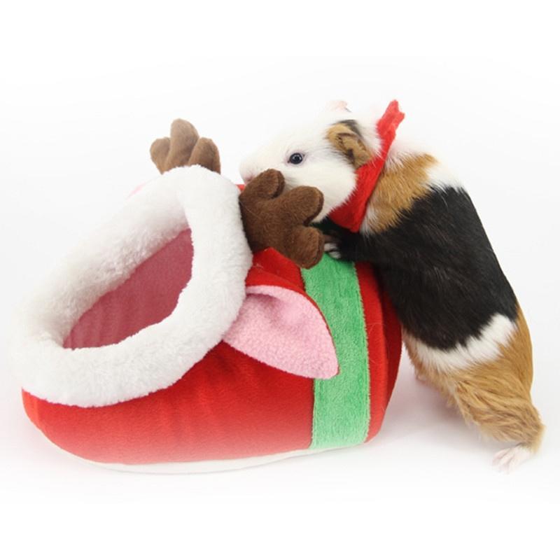 small pet accessories