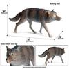 Cross-border Wild Animal Model: Prairie, Brown, Snow, Predator Wolves & Cub Educational Display Toy