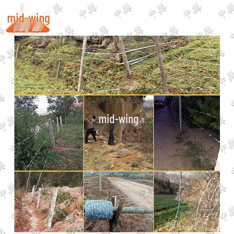 Hot-dip Galvanized Barbed Wire