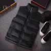 Men Waistcoat Stand Collar Sleeveless Vest Coat with Pockets Zipper Closure Warm Comfortable Down Waistcoat