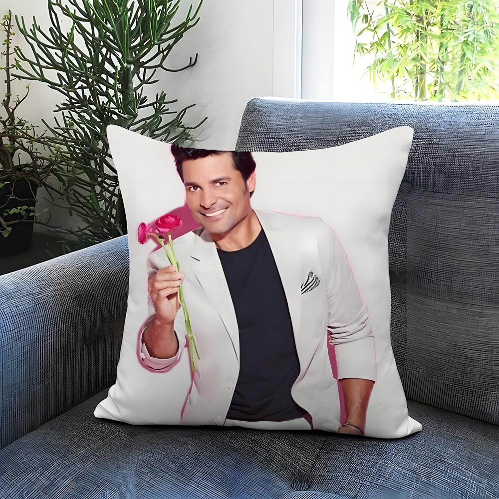 Fashion C-CChayanne Cushion Cover Comfortable Reversible Pillow Cover Ideal for Car Sofa Bedroom & Beyond