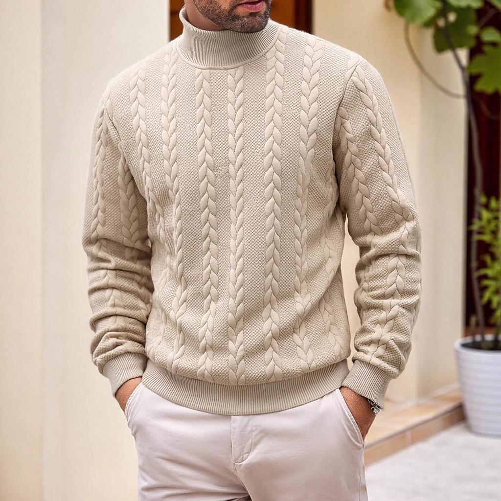 Autumn and winter sweater knitted sweater daily solid color young men's fashion jacquard turtleneck warm sweater