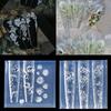 3D Silicone Bow Flower Nail Carving Mold Butterfly Rose Floral Design Transparent Template Diy Nail Art Decoration Manicure Tool