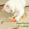 Interactive Elastic Ball Toy for Cats And Dogs Funny Feather Football Plaything Kitten Kitty Doggy Pet Supplies