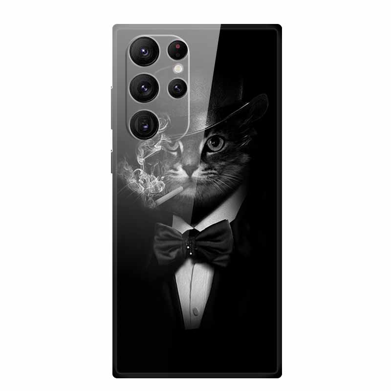 Gehärtetes Glas Case Für Samsung Galaxy S25 Ultra Case S 25 Ultra Hartes Rückseiten Cover Weicher Stoßfänger Für Samsung S23 S22 S24 Ultra Case