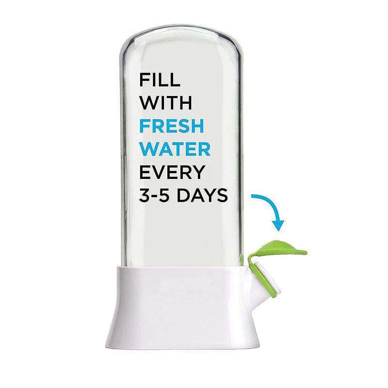 Shein Eco-friendly Vegetable Preservation Box - Anti-crush Vanilla & Cilantro Fresh-keeping Cup