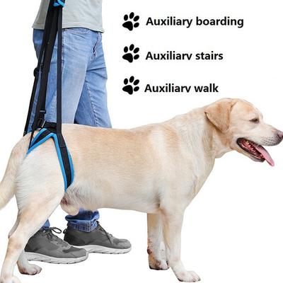 Büyük Köpekler İçin Köpek Kaldırma Tasması Yumuşak Dolgulu Ayarlanabilir Köpek Arka Bacak Askısı Yaşlı Engelli Eklem Yaralanmaları İçin Evcil Hayvan Arka Bacak Desteği