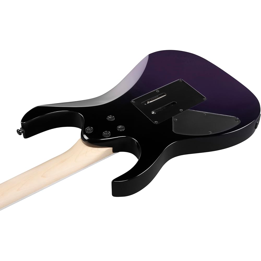 Ibanez Ibanez RG Series Double Rock Tremolo Electric Guitar [Tokyo Midnight] RG470DX-TMN