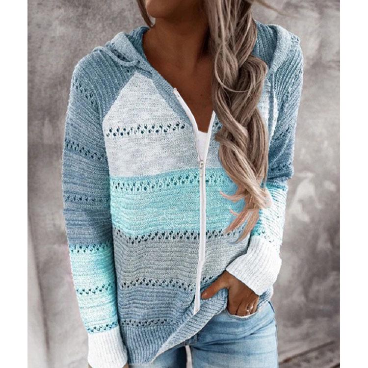 2025 Autumn & Winter Hooded Zipper Long Sleeve Sweater