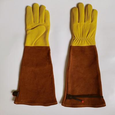 Équipement de protection individuelle – Gants de sécurité