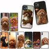 Funda Coque Cover for Samsung Galaxy A55 A56 A25 A36 A54 S8 S9 S21 S20 FE A53 A13 A12 A14 A33 A70 A71 A51 A21S Case Poodle Dog