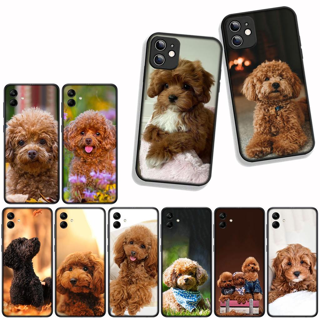 Funda Coque Cover for Samsung Galaxy A55 A56 A25 A36 A54 S8 S9 S21 S20 FE A53 A13 A12 A14 A33 A70 A71 A51 A21S Case Poodle Dog
