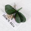 Simulation Phalaenopsis Leaf Artificial Plants Soft Rubber Phalaenopsis Leaf for Flowers Garden Bonsai Decor