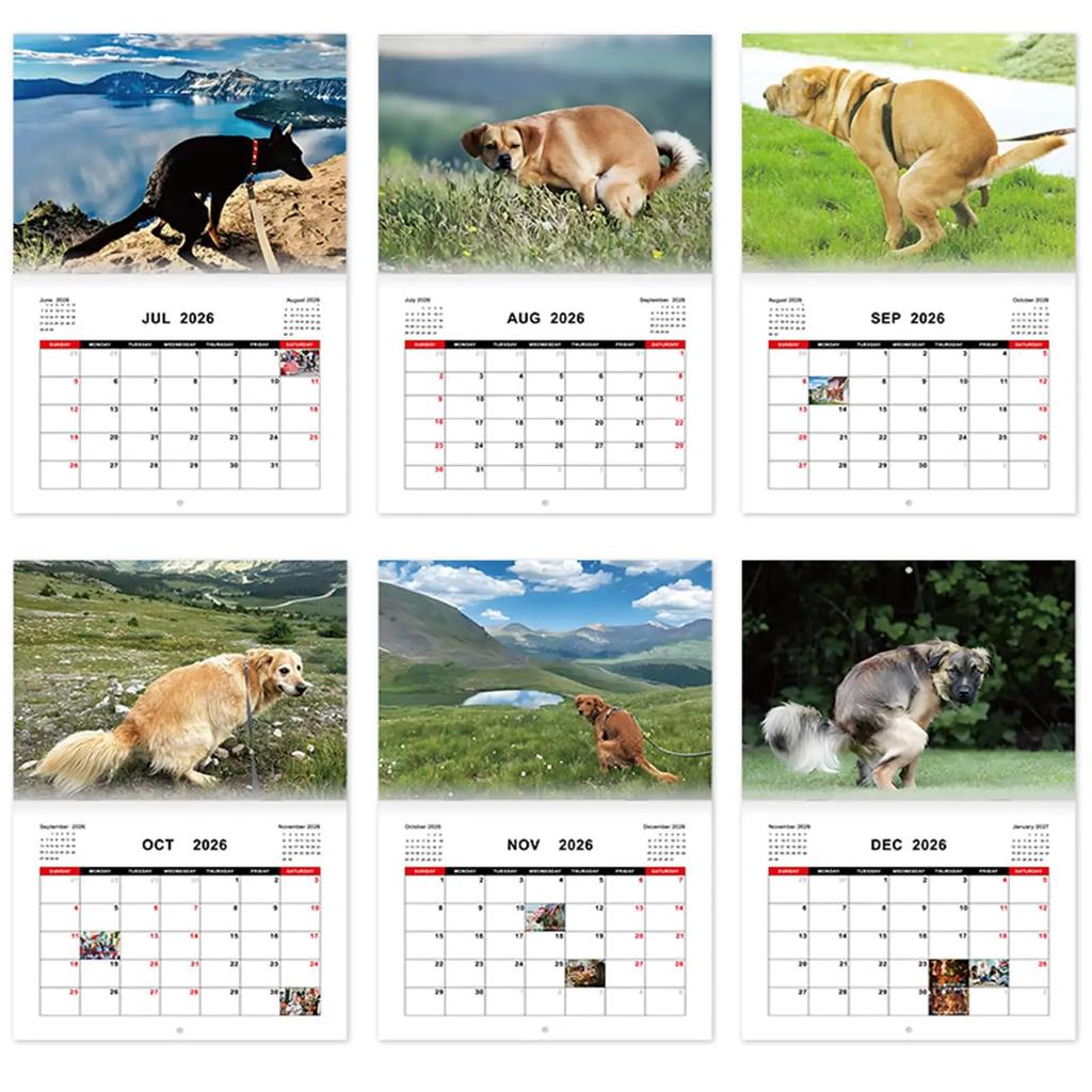 Calendar 2026 Dogs Pooping In Beautiful Places Funny Gag Gifts Thick Paper Wall Calendar Christmas Home Decor Planning Organizer