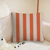 Fashion Stripes Design Art Cushion Cover Pillow Case Plush Fabric Soft Double Sided Print Sofa Cushion Cover Throw Pillow Covers