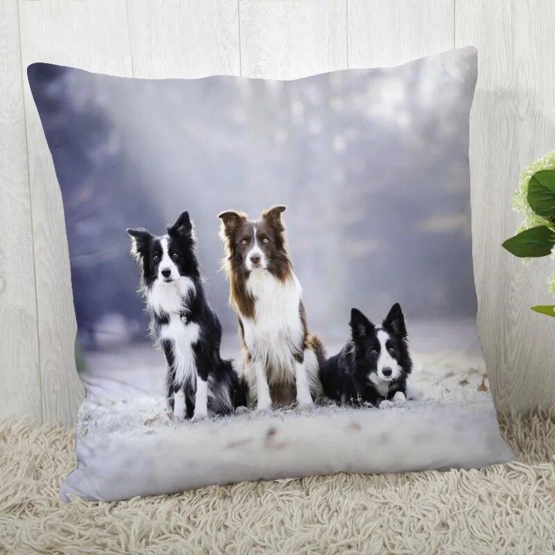Pillowcase Border Collie  Modern Home Living Room Decor