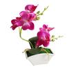Butterfly Orchid Flower Home Office Decor with Flowerpot