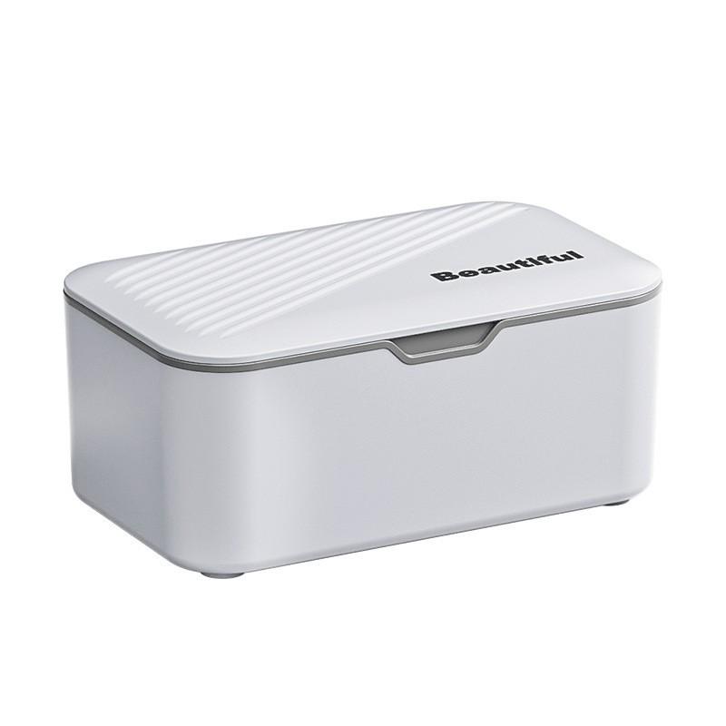 Lidded Dustproof Storage Box for Tissues, Wipes, Gloves & Masks - Large Capacity