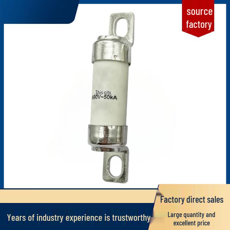 Jueceng RGS4 Fast Acting Fuse
